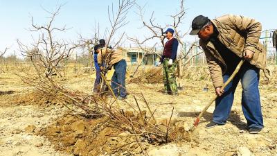 最美不过春耕图,最美不过春天的花草树木