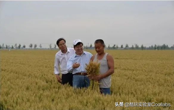 北京三环农田,北京三环麦田房价