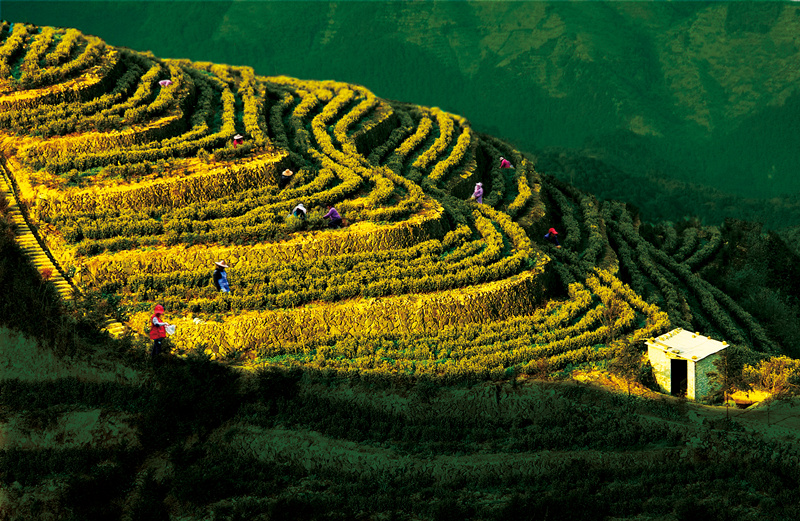 缙云仙都，美若仙境，春风十里不如陪你一起领略缙云风光