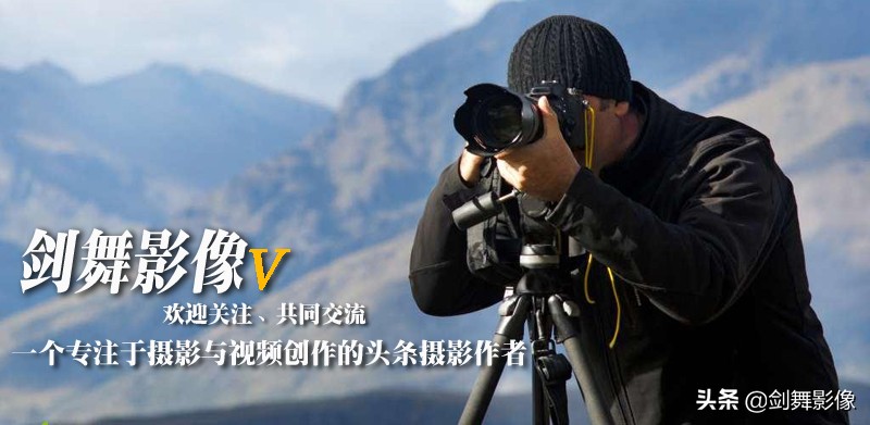 微距摄影巧用最佳角度,微距摄影光线图解