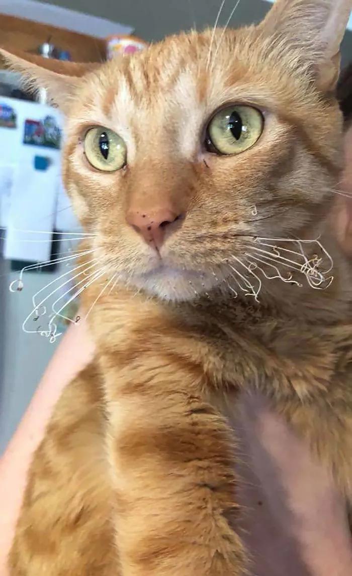 最倒霉的100个瞬间视频,35个最倒霉的瞬间