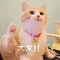 ps里抠图用选区抠图怎么弄,ps抠图中间有洞怎么抠图