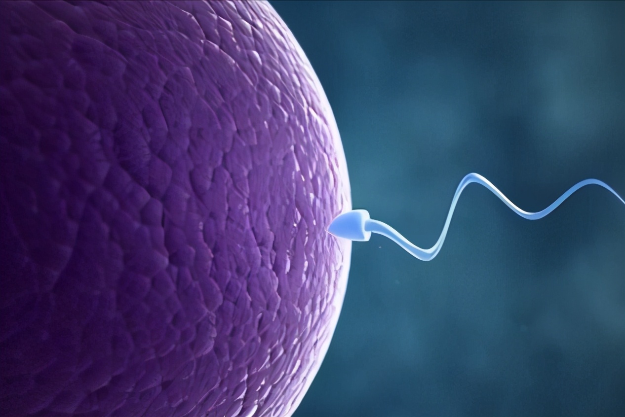 精子总活力低下是普遍现象吗,精子活力低下如何提高精子质量呢