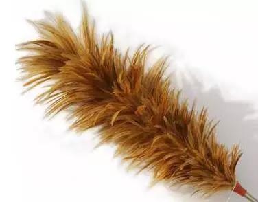 外国人的时尚之路 (外国人那些匪夷所思的时尚)