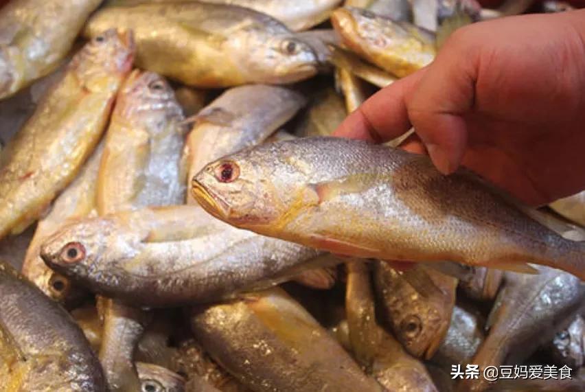 没办法人工养殖的五种鱼,人工养殖最好的三种鱼