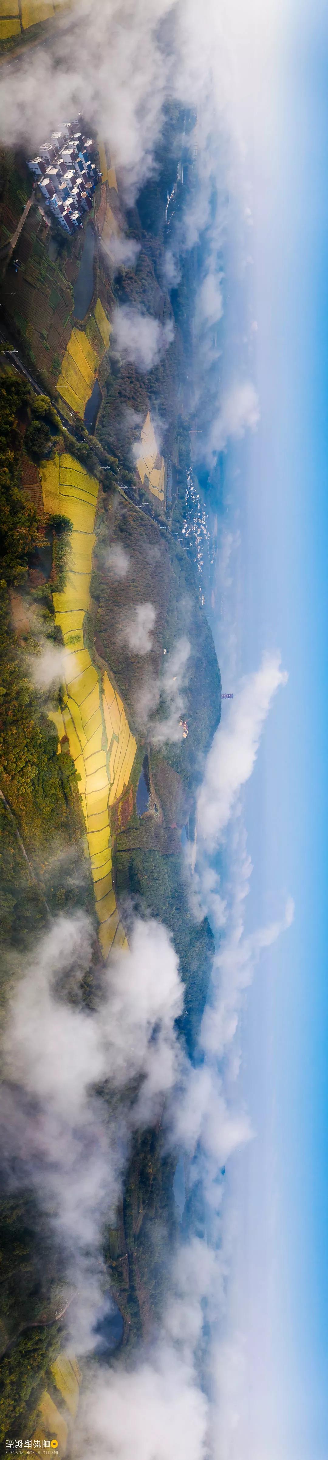 南京高淳区哪个地方好,南京高淳值得去的风景区免费