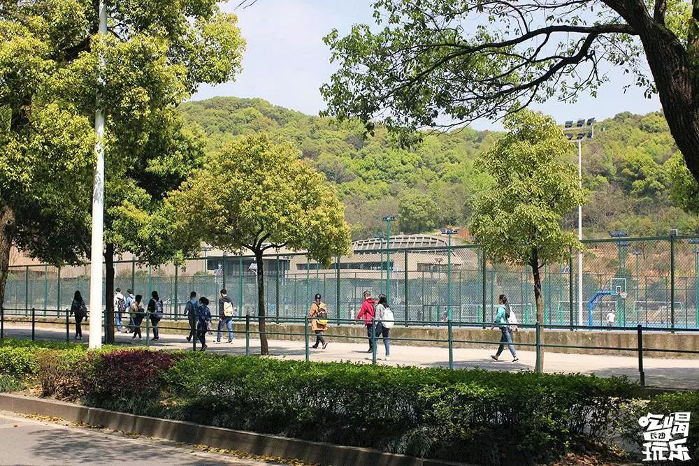 麓山南路门店,麓山南路店铺