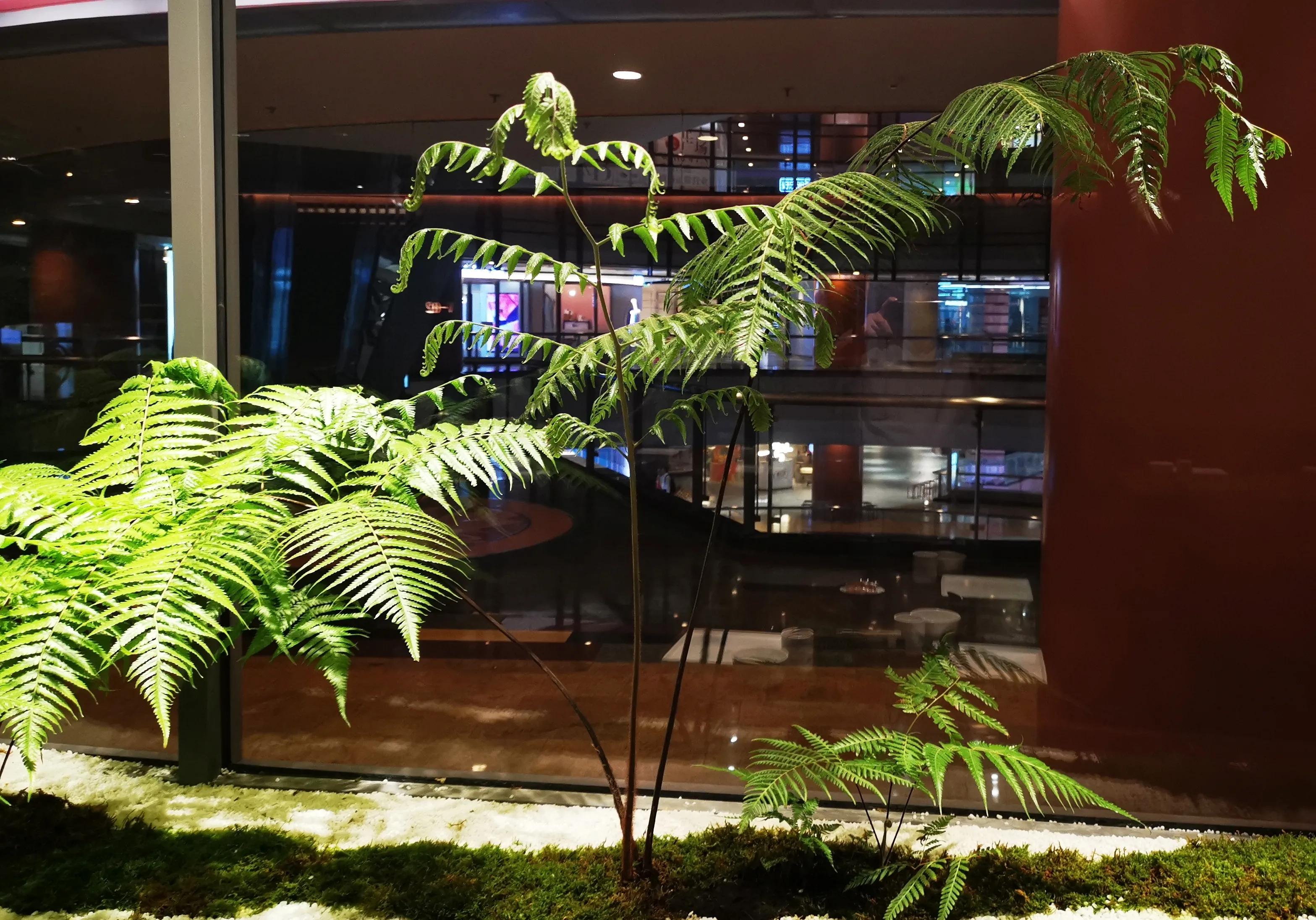 上海浦东正大广场晚餐推荐,陆家嘴正大广场美食6楼