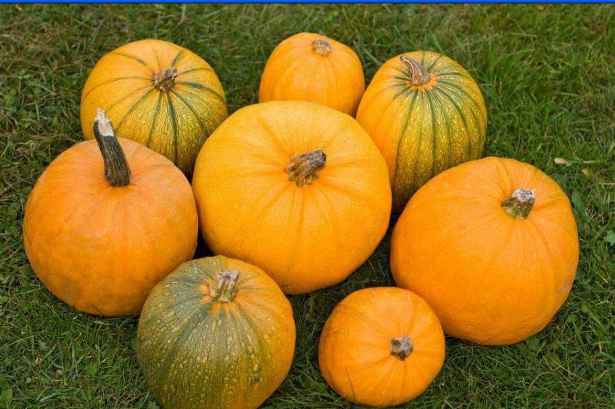 叶酸片蔬菜含的叶酸效果一样吗,大龄备孕是吃叶酸片还是活性叶酸