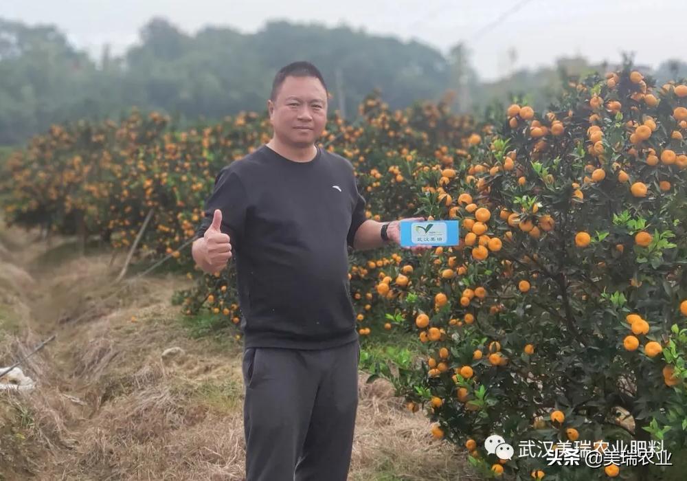 南丰蜜桔适合施哪种复合肥料,南丰蜜桔的施肥管理