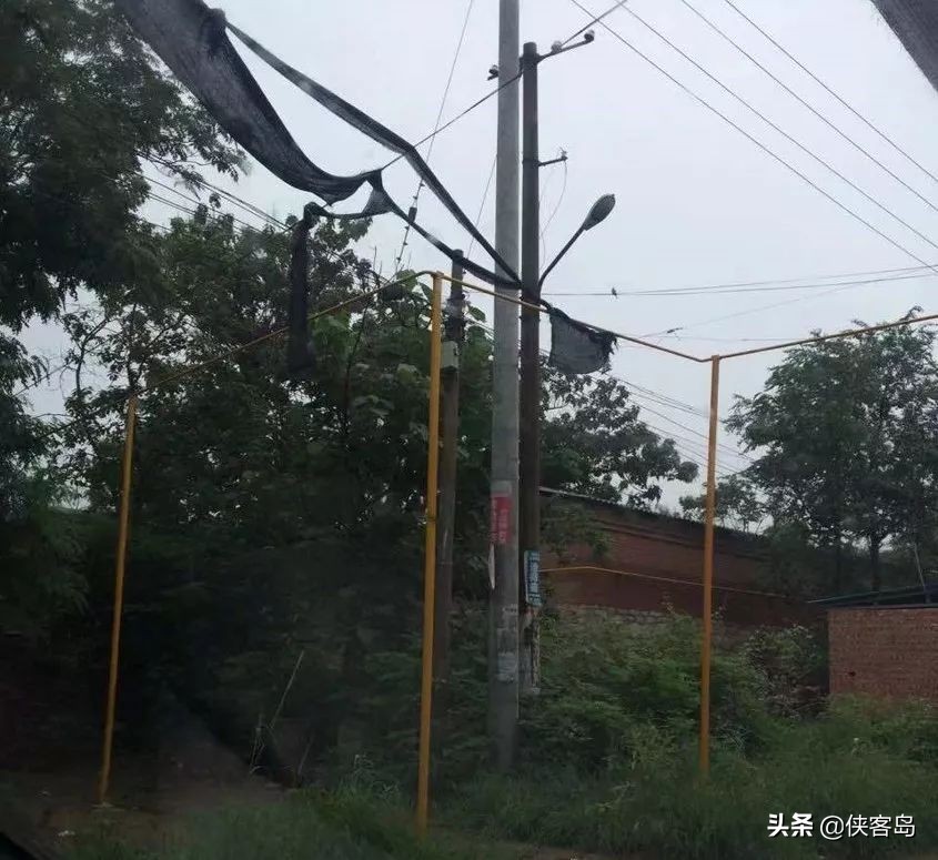 【岛读】今天的内容略长，但绝对值得细看