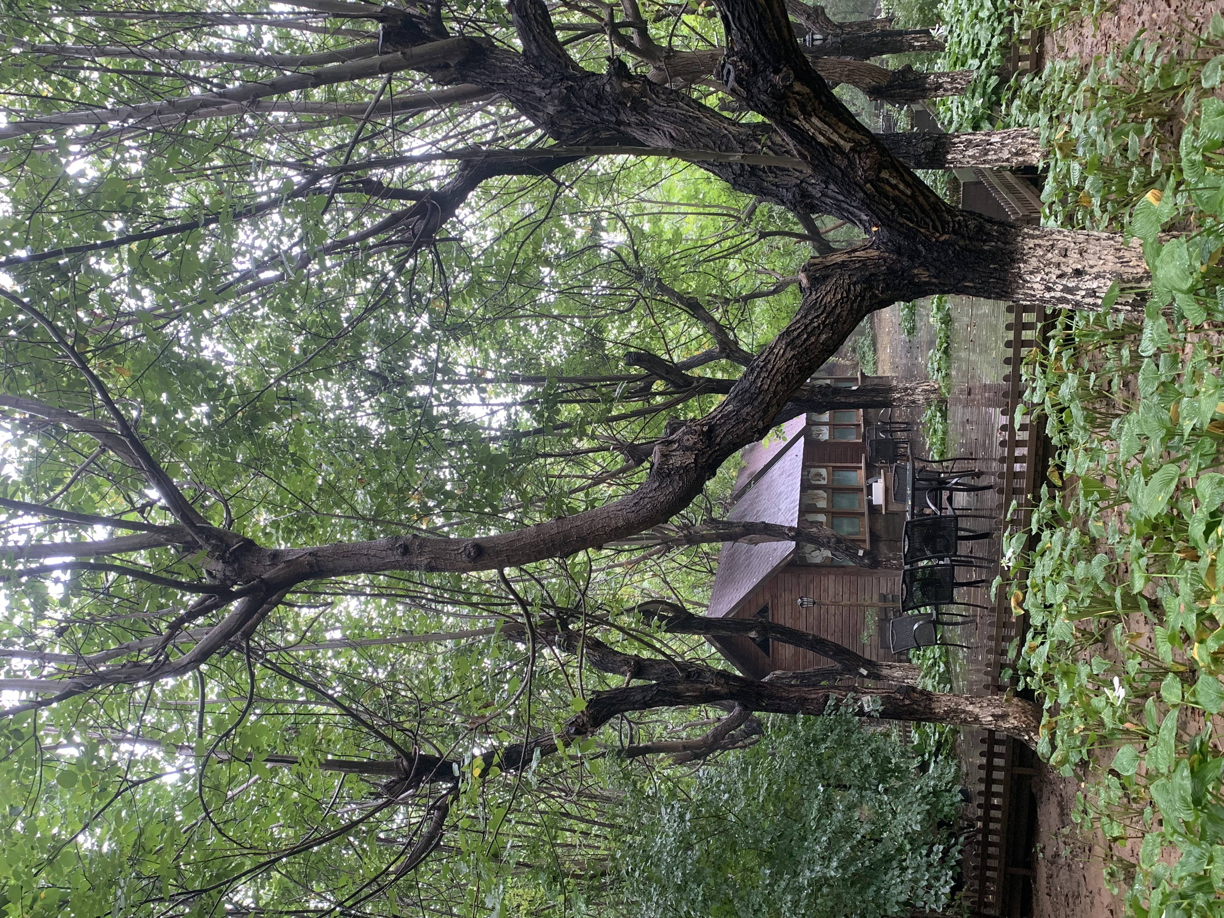 夏日京郊旅游攻略,夏日京郊哪里好玩