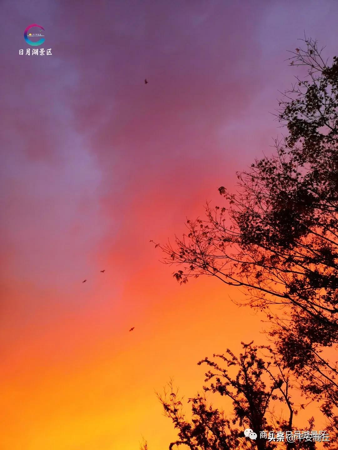 商丘日月湖景区初冬美景惹人醉,商丘市日月湖风景视频