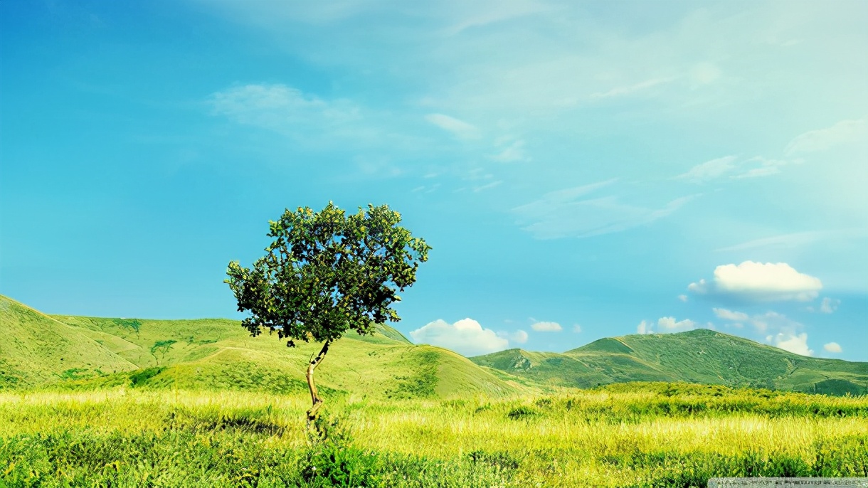 后面带锋字的男孩名字大全,锋字取名男孩名字