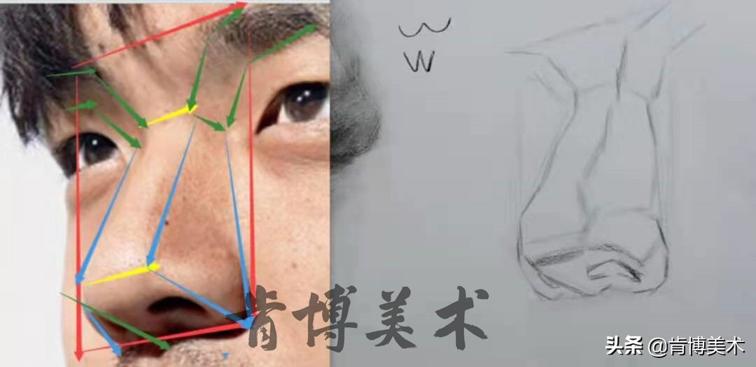 素描入门零基础教程人像鼻子,素描人物头像鼻子详细教程