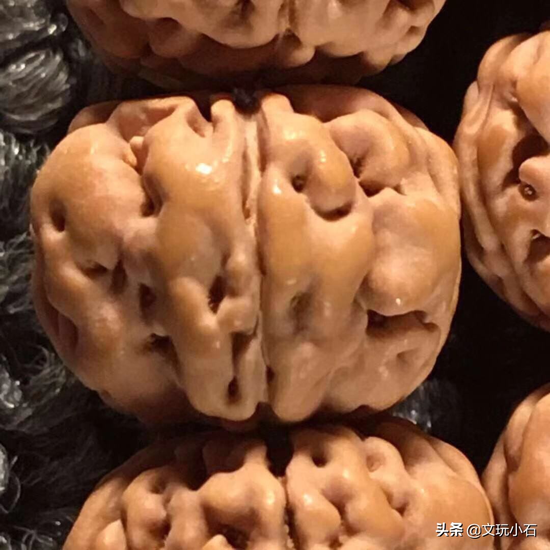 金刚菩提入门知识,新手必备,掌握了三言两语就能让别人刮目!