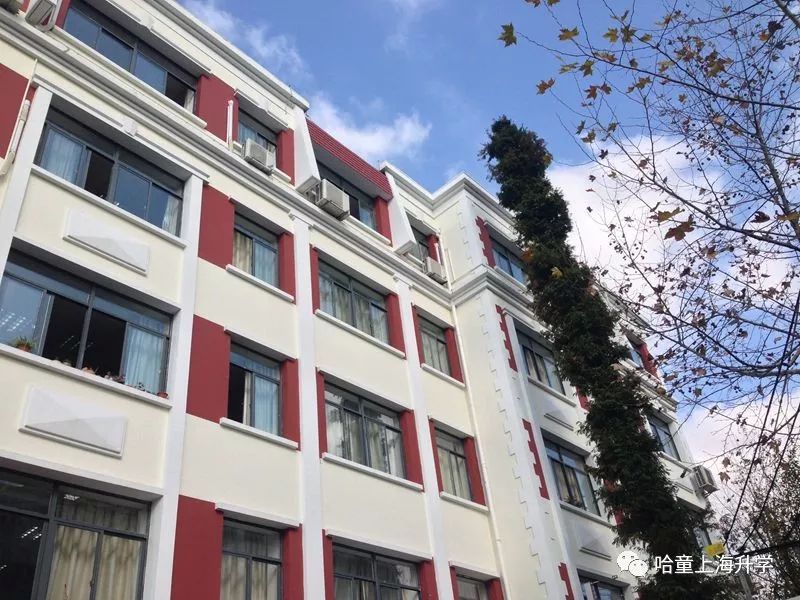 徐汇公办初中盘点！性价比高，实力不输民办，对口这些学校和地段