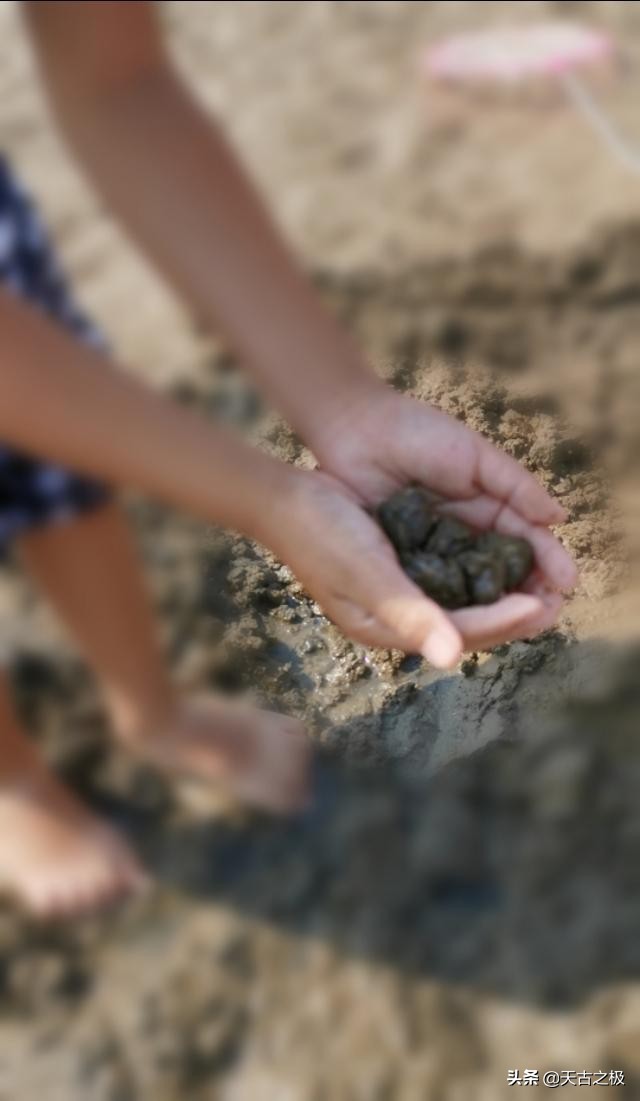 青岛赶海旅游攻略必去景点,青岛哪里有好玩的沙滩能赶海