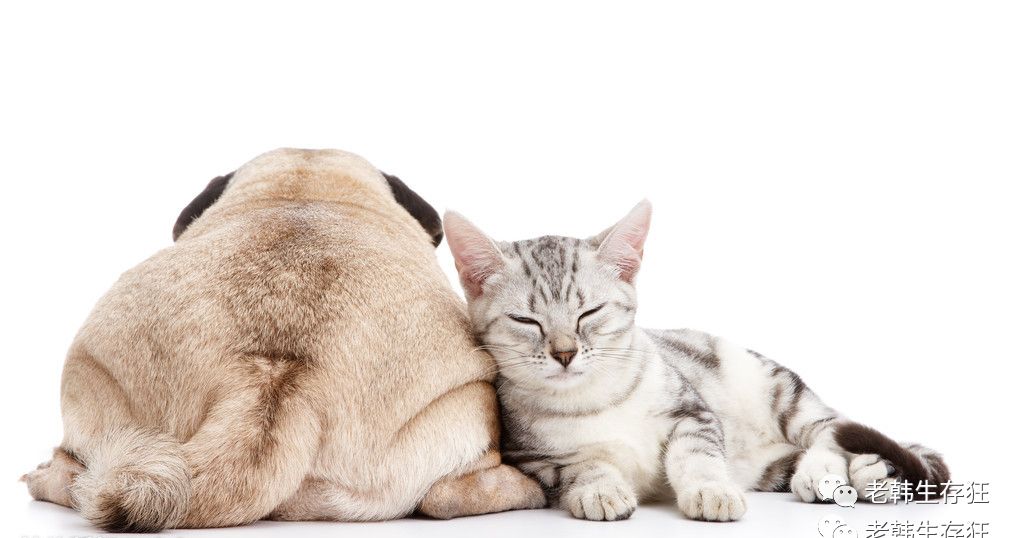 地震求生与自救技巧,生存狂在野外怎么逃生