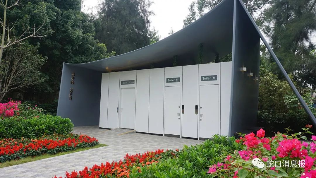 深圳，一个连拉屎都要发朋友圈的城市