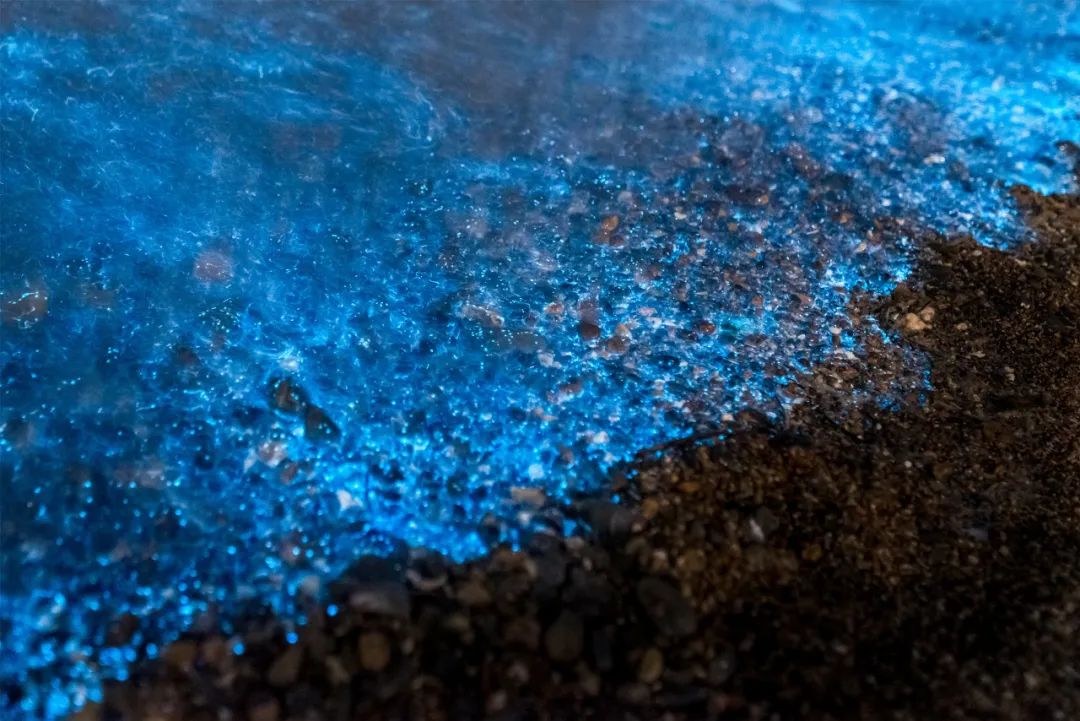 旅游三亚和厦门哪个更值得去,三亚和厦门哪一个更值得去旅游