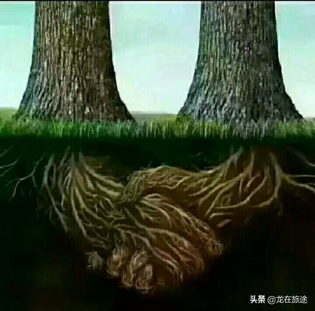 犹太人穷得揭不开锅的时候,犹太人的十二个赚钱法则