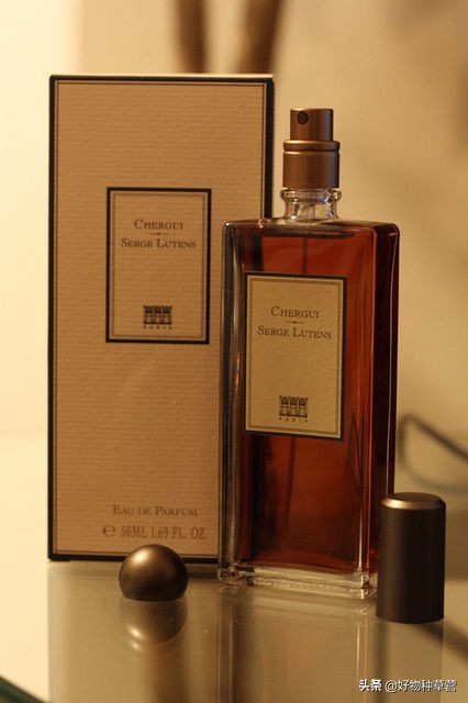 闻香识女人香水小样,女士香水选购攻略