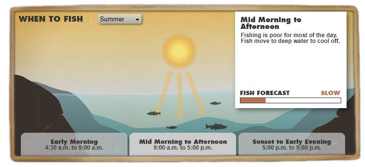 发钓鱼视频的最佳时间,什么时间钓鱼是最佳时间