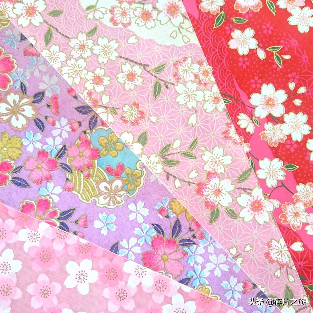 东京购物性价比最高,东京购物必买的几款女装