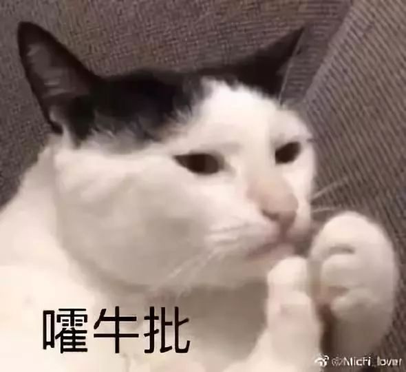 今天才明白什么叫：别队看球要钱，狗刺看球要命了！