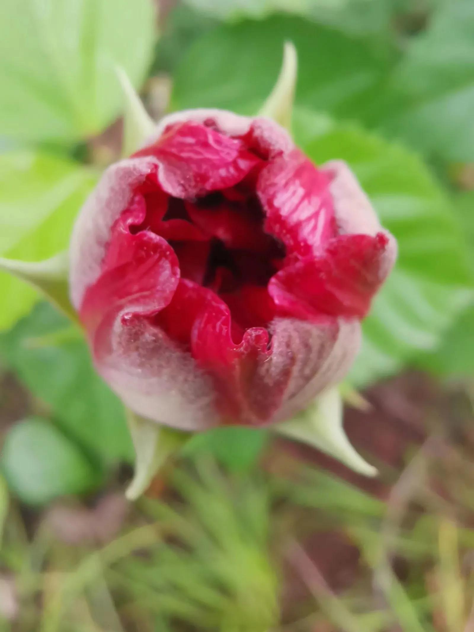 记忆模糊的三年,记忆回到三年前