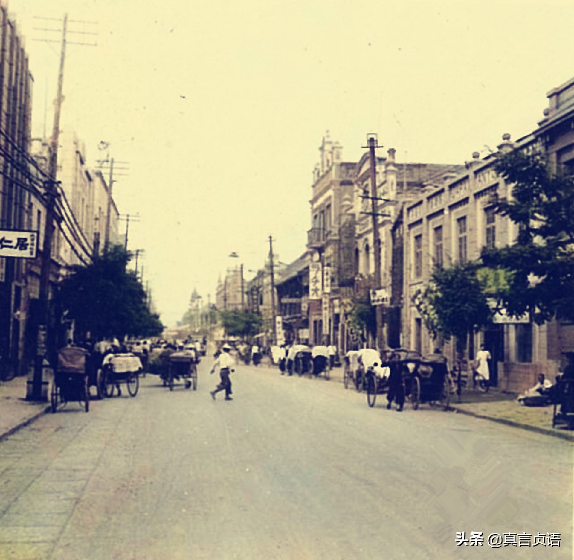 杨曙明简介,杨曙明最新视频