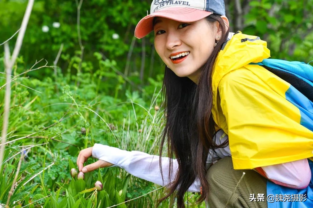 各个季节的野生兰花,北京百花山野生兰花图片