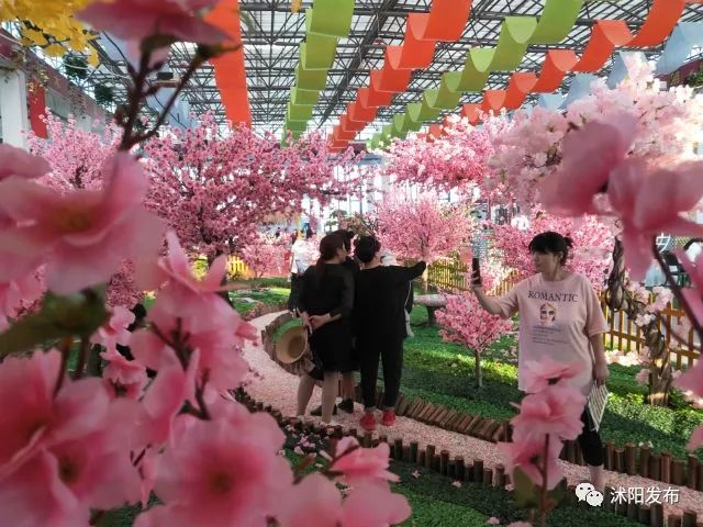 沭阳庆国庆迎中秋,沭阳迎国庆