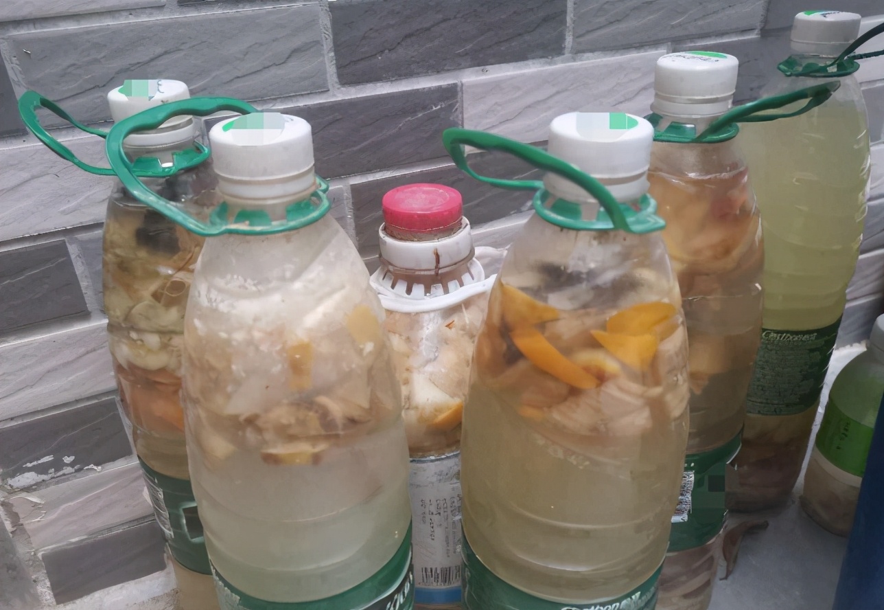 淘米水养花的正确方法和注意事项,鸡蛋壳淘米水做养花肥料的方法