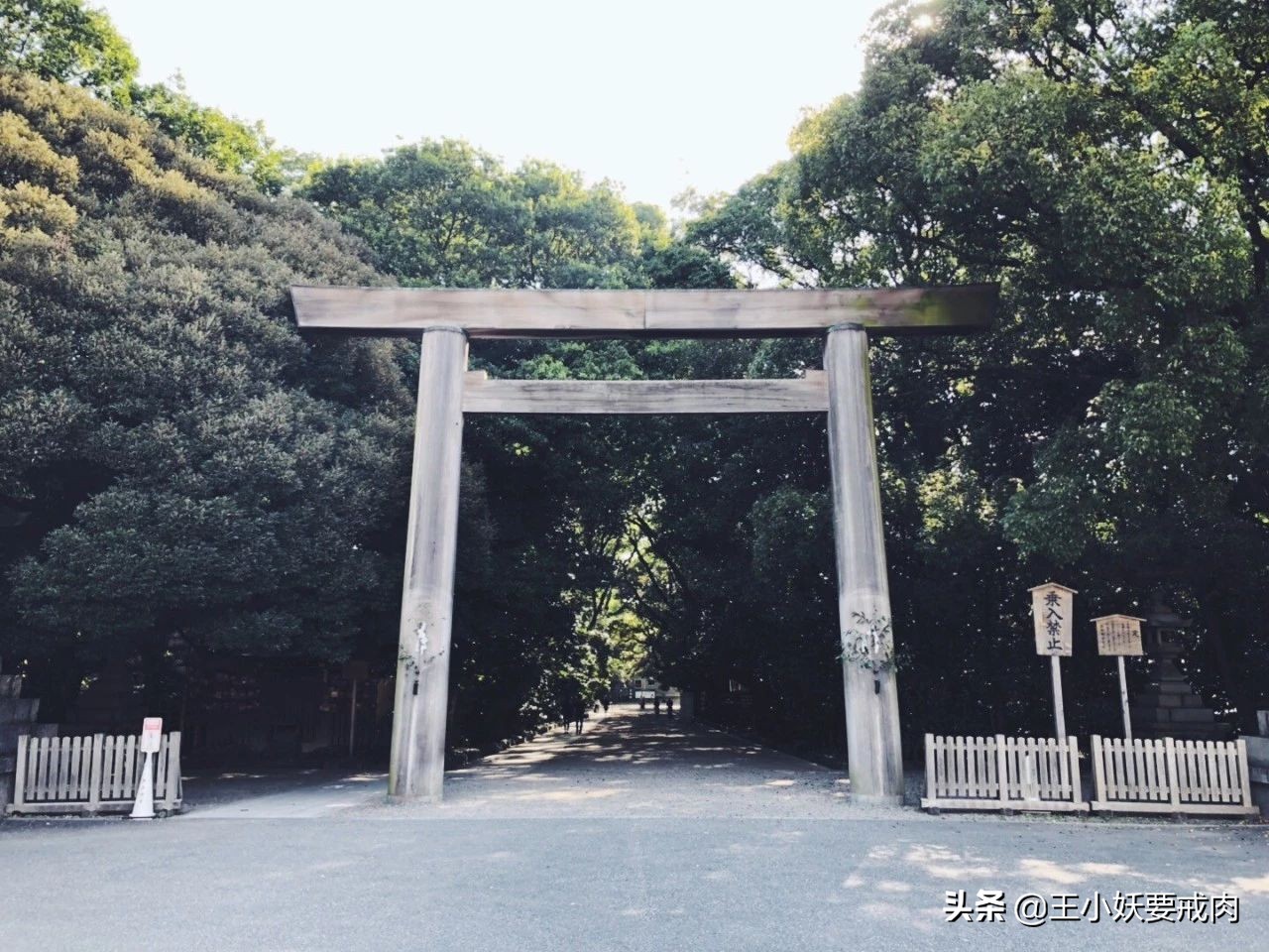 日本自由行攻略7天旅游,日本自由行攻略十大必去景点