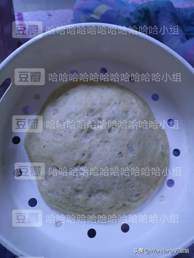 多亏这些宝藏网友，让我笑到免疫力增强