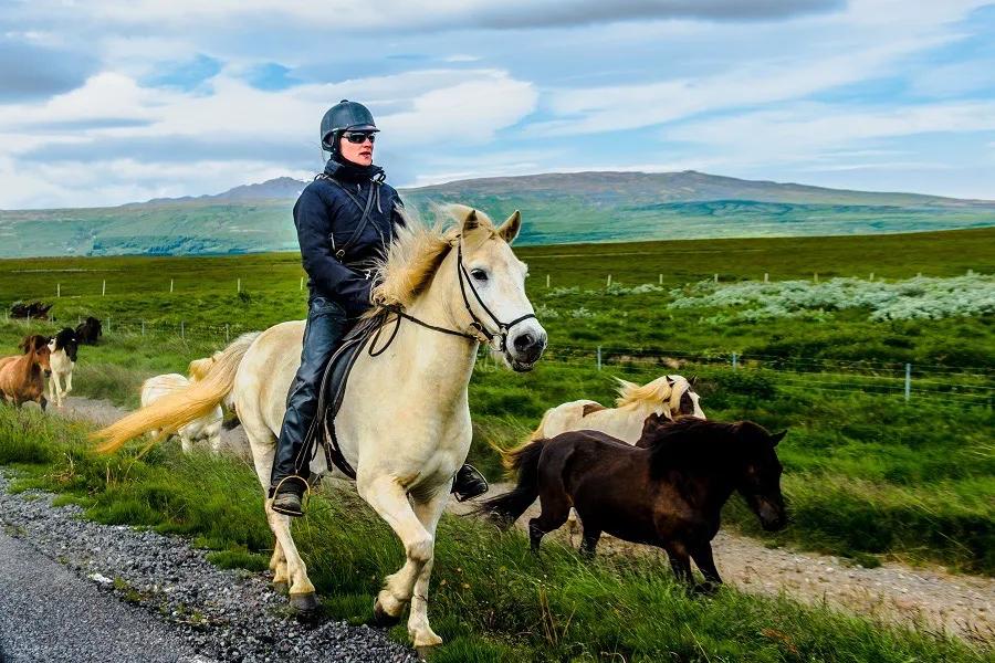 当你觉得生活无趣做什么提不起劲,生活无望我该如何活下去