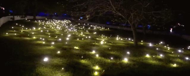 美得足以让人忘记时间流逝,美得让人静止的瞬间