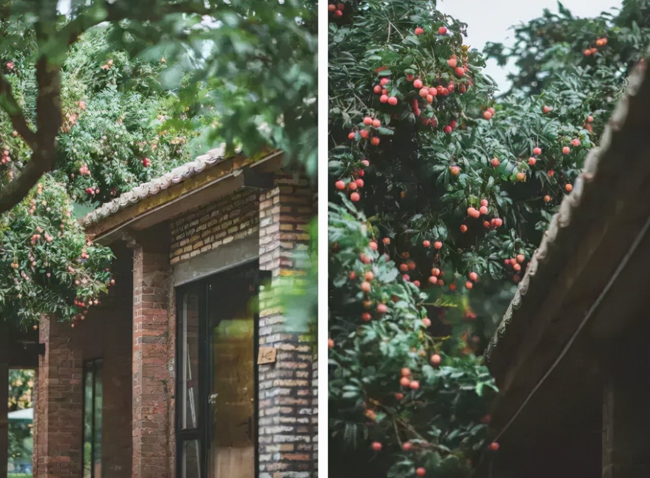 广州从化山野间隐奢桃源民宿，诗意野趣手作做个小木匠丨菁木山舍