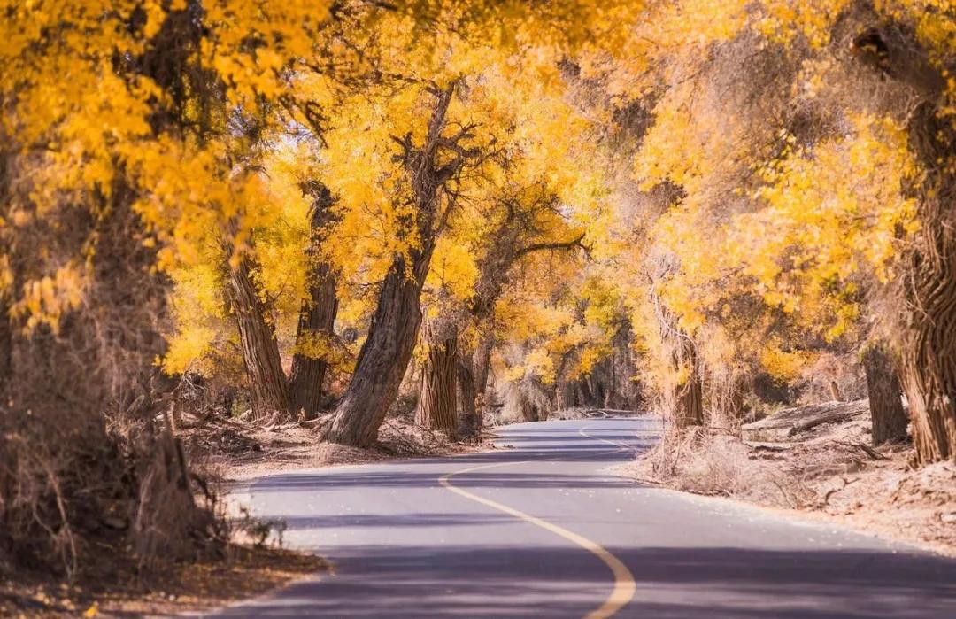 9月国内最美的10个最佳旅行地推荐,金秋十月寻找最美旅行地