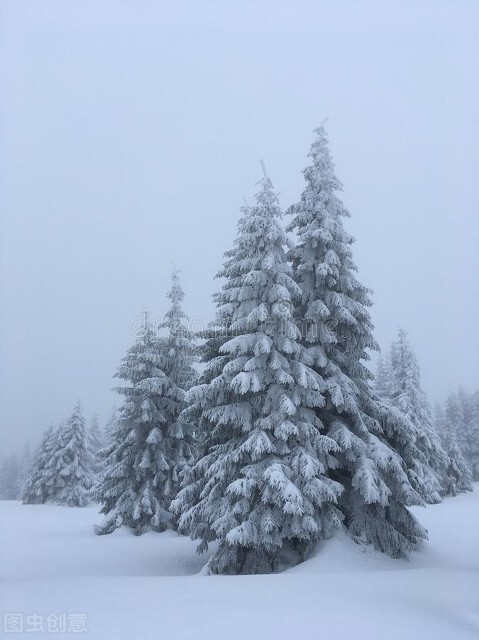 不喜欢冬天老是对我冻手冻脚,手脚冰凉冬天冻手冻脚是怎么回事