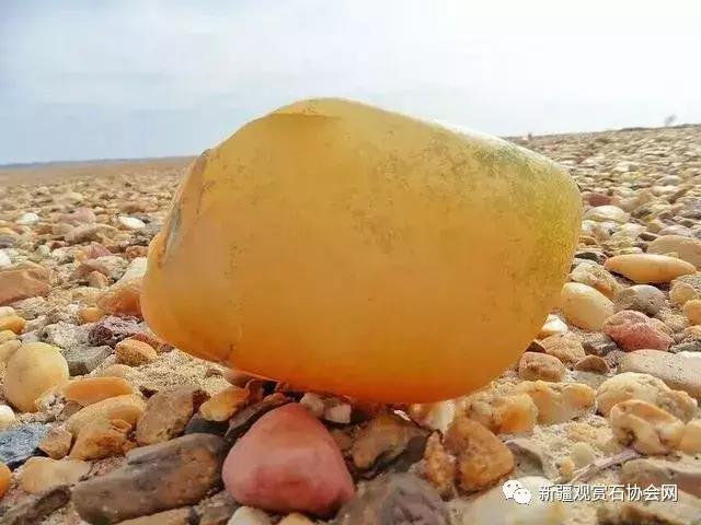 戈壁滩捡玉怎么分辨玉和石头,金丝玉三剑客戈壁滩捡金丝玉