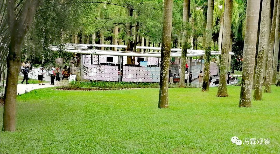 从清茶中飘出来的悠美短文！（文化观察之一O三）