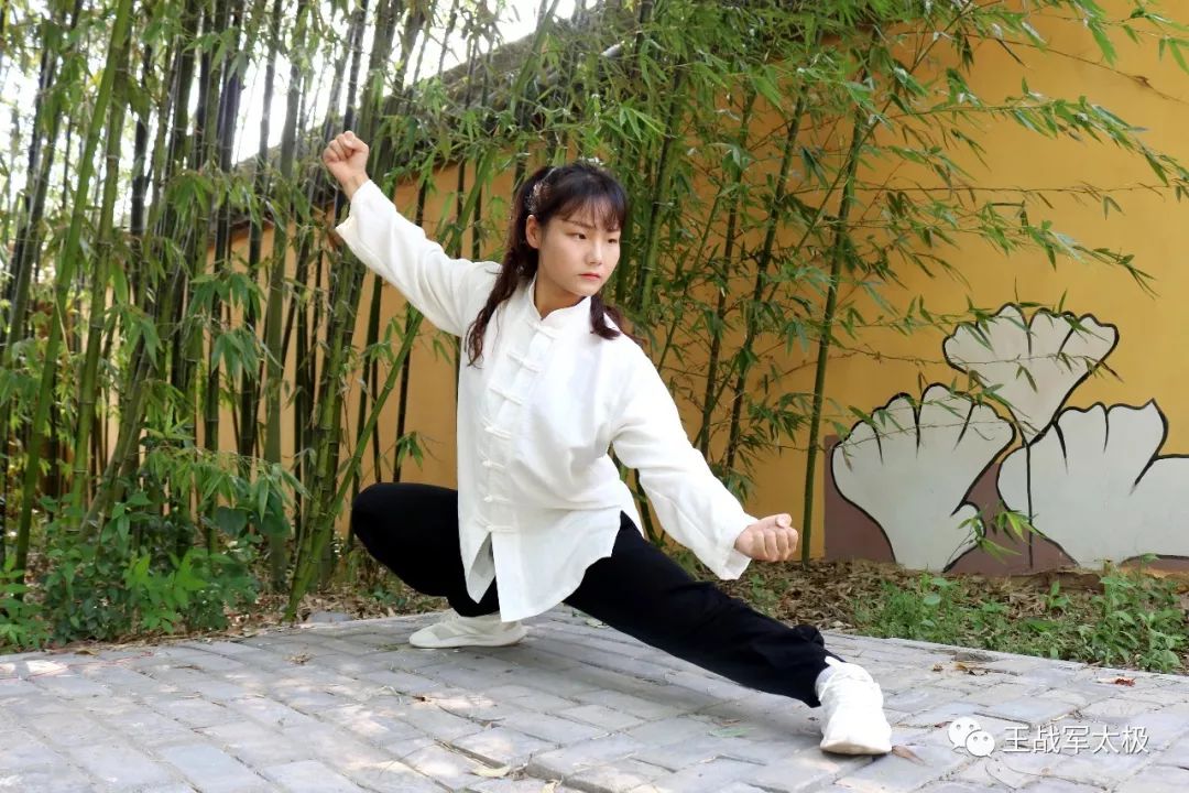 太极拳抖杆练习视频,形意拳炮拳抖劲练法