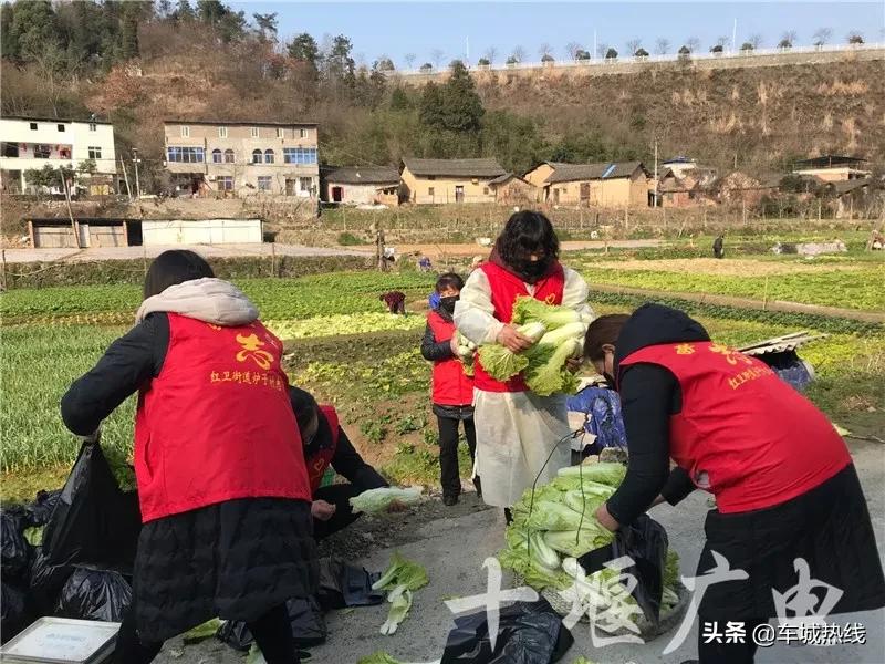 “打赢这场仗，就回去和你结婚”这是十堰最动人的告白