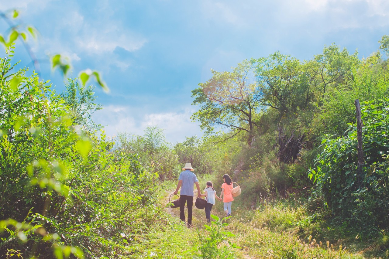 山野自然酷虫酷玩，玉米娃娃，一场自然与艺术融合的秋日盛宴