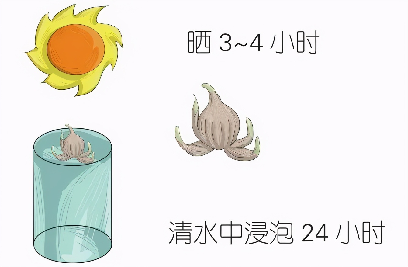 水仙球哪里品种好,水仙挑选方法