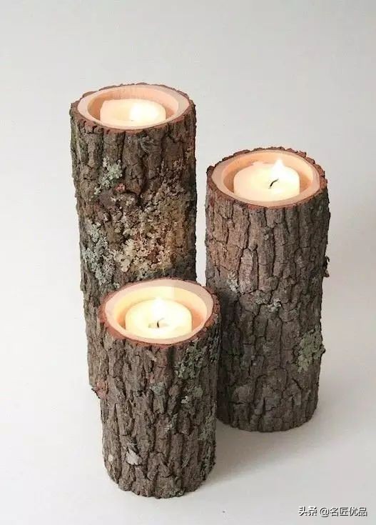 枯木再逢春老树发新芽,枯木再次逢春