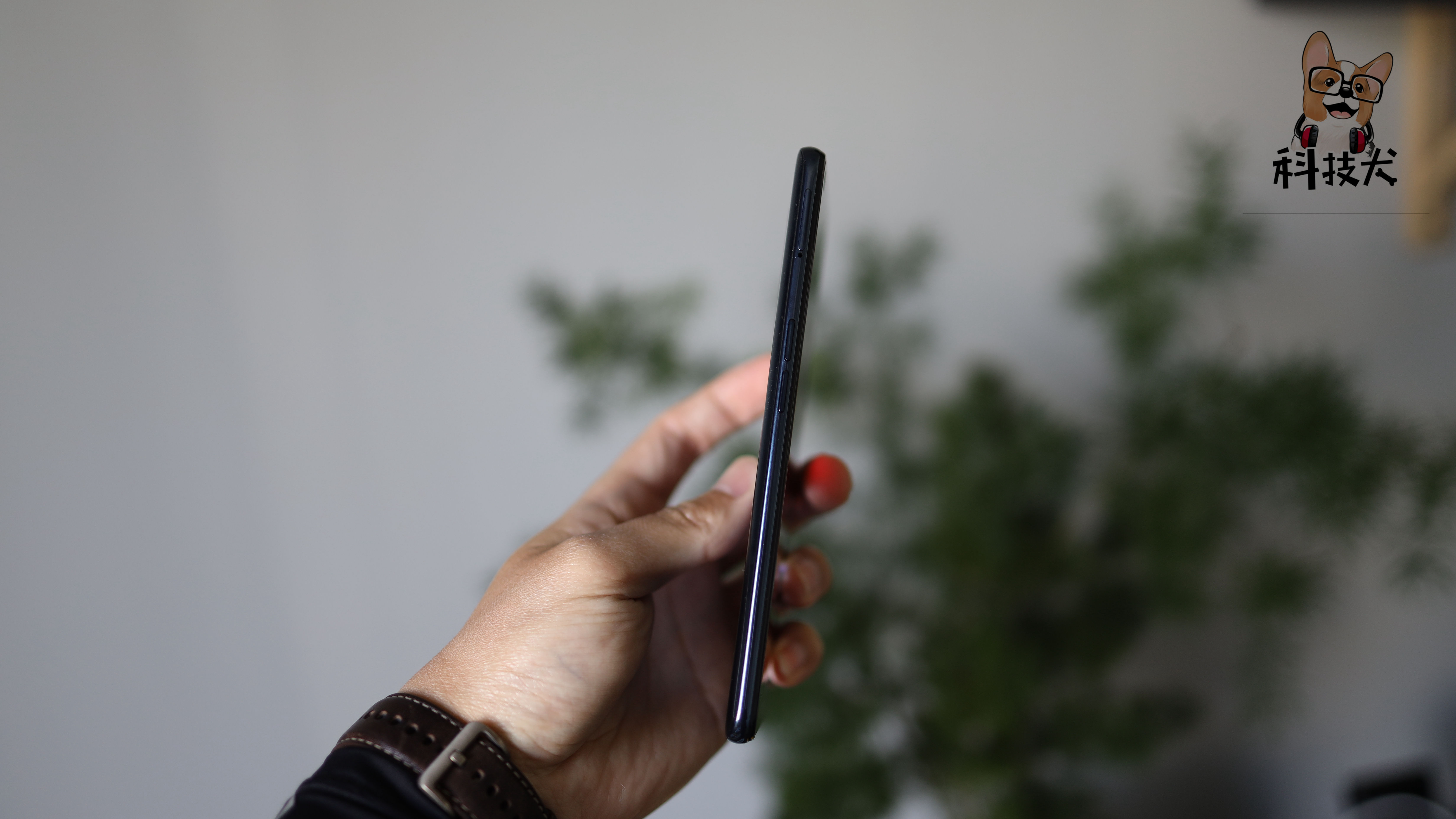 科技犬小米,科技犬正品